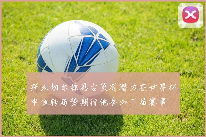 斯米切尔称恩古莫有潜力在世界杯中扭转局势期待他参加下届赛事